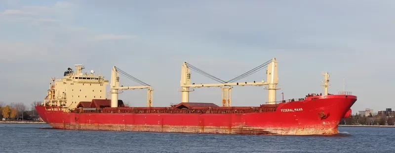 OMOLON Bulk Carrier IMO 9118135 photo 8