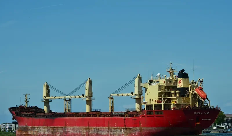 OMOLON Bulk Carrier IMO 9118135 photo 9