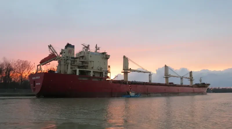 YARA J Bulk Carrier IMO 9118147 photo 2