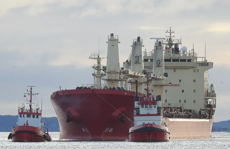 YARA J Bulk Carrier IMO 9118147 photo 4