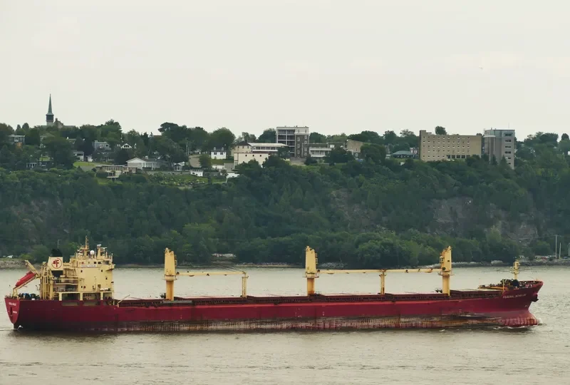 YARA J Bulk Carrier IMO 9118147 photo 6