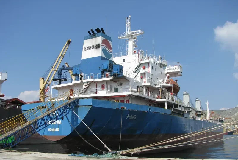 NAVAHO Bulk Carrier IMO 9118226 photo 2