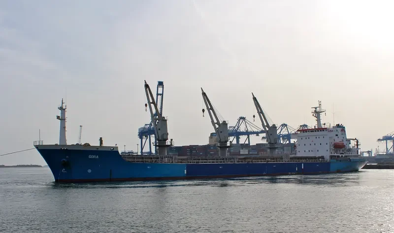 NAVAHO Bulk Carrier IMO 9118226 photo 4