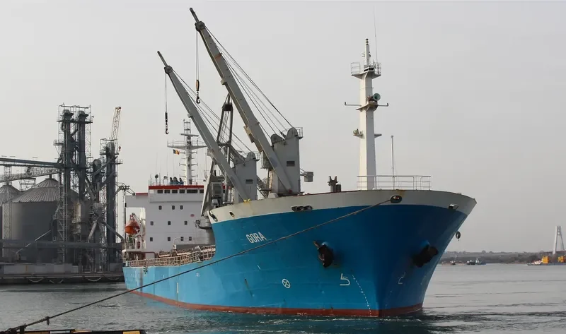 NAVAHO Bulk Carrier IMO 9118226 photo 5