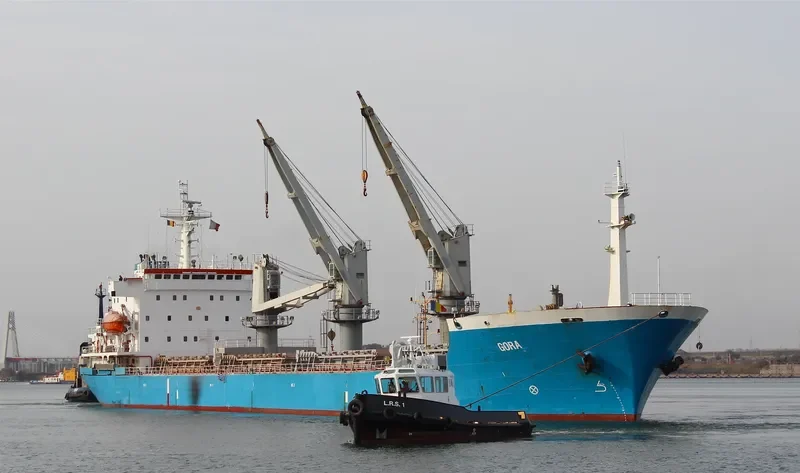 NAVAHO Bulk Carrier IMO 9118226 photo 6