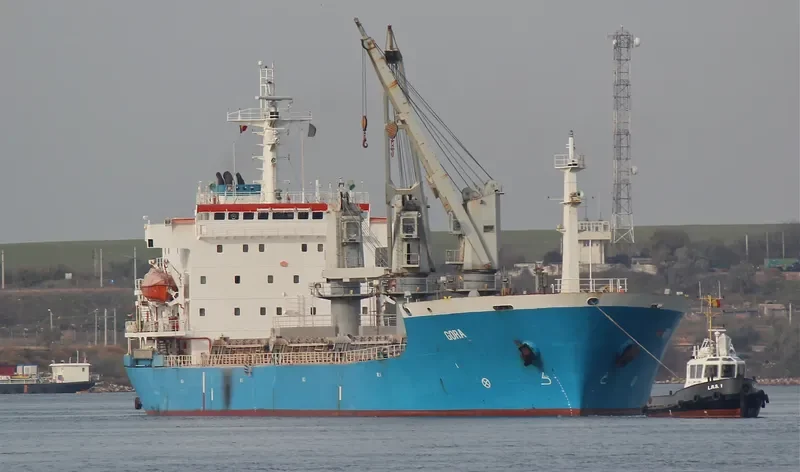 NAVAHO Bulk Carrier IMO 9118226 photo 7