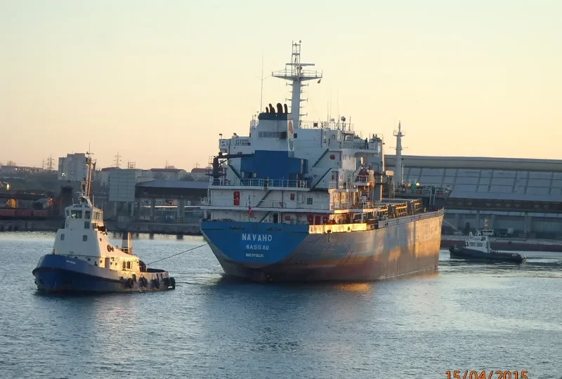 NAVAHO Bulk Carrier IMO 9118226 photo 8