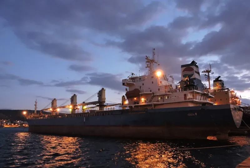 NAVAHO Bulk Carrier IMO 9118226 photo 9
