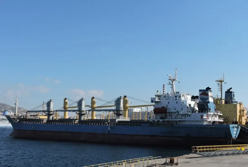 NAVAHO Bulk Carrier IMO 9118226 photo 10