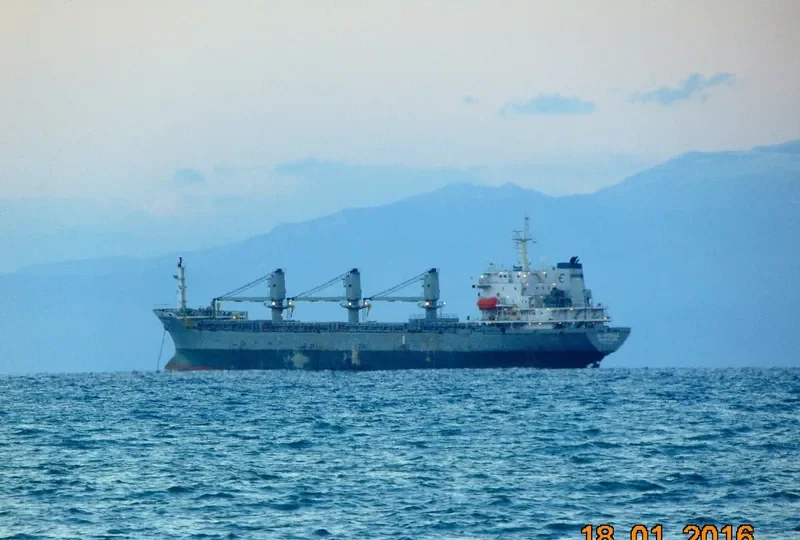DIGNITY Bulk Carrier IMO 9118238 photo 6