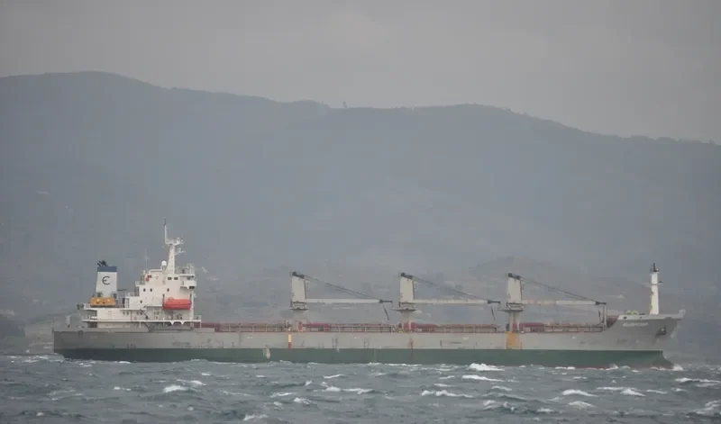 DIGNITY Bulk Carrier IMO 9118238 photo 8