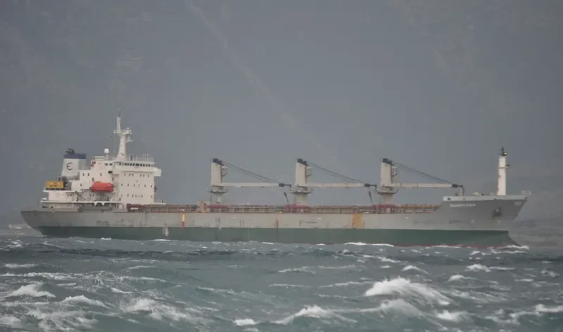 DIGNITY Bulk Carrier IMO 9118238 photo 10