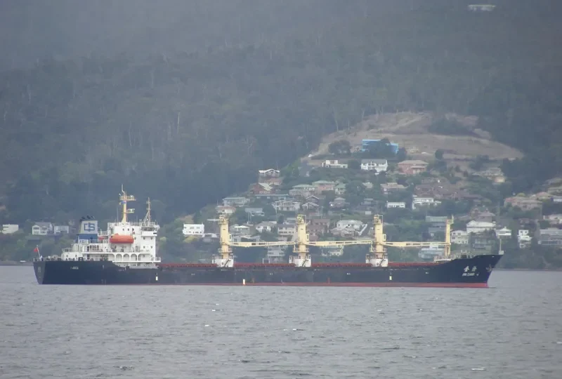 JIN CANG Bulk Carrier IMO 9118240 photo 6