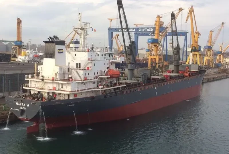 FORTUNA Bulk Carrier IMO 9118252