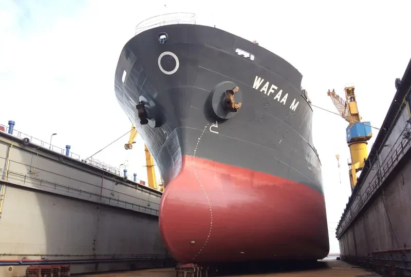 FORTUNA Bulk Carrier IMO 9118252 photo 2
