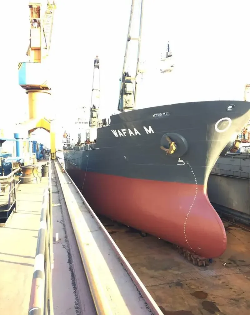 FORTUNA Bulk Carrier IMO 9118252 photo 3