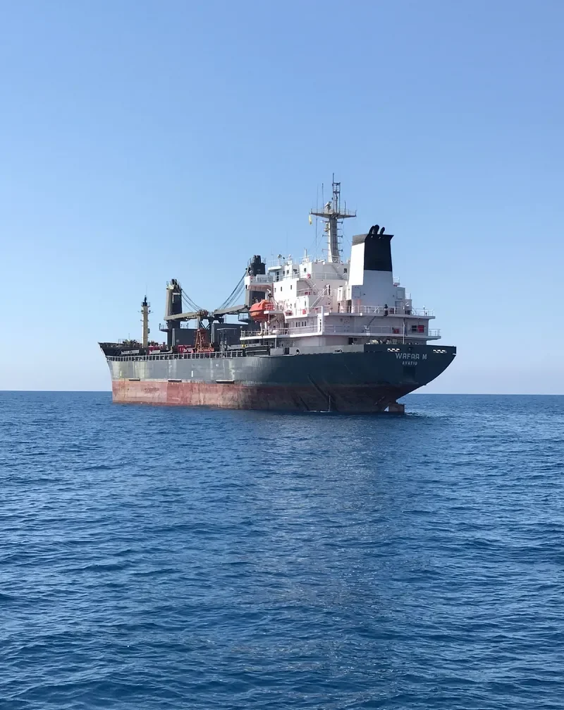 FORTUNA Bulk Carrier IMO 9118252 photo 4