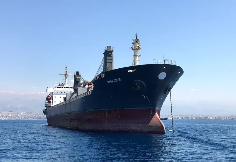 FORTUNA Bulk Carrier IMO 9118252 photo 5
