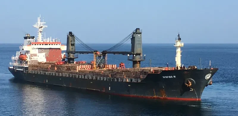 FORTUNA Bulk Carrier IMO 9118252 photo 6