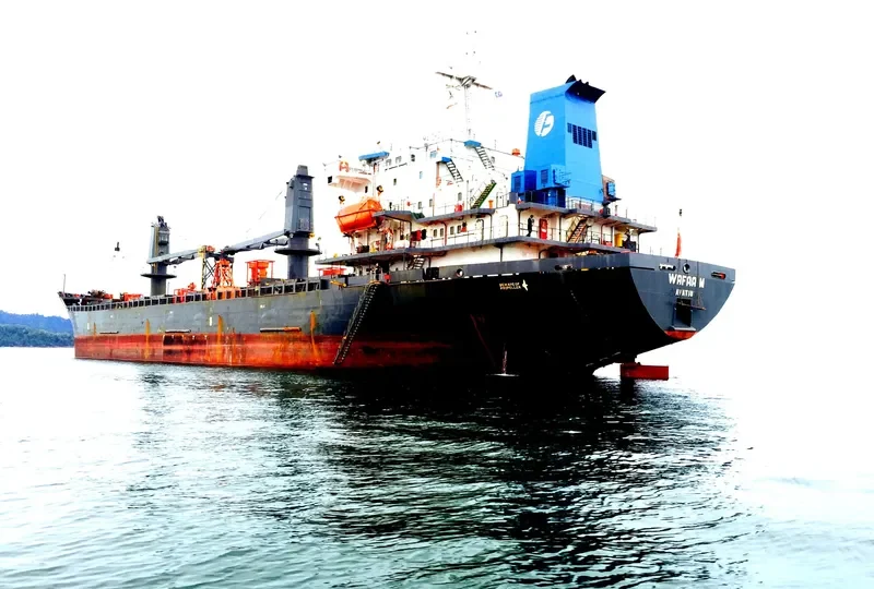 FORTUNA Bulk Carrier IMO 9118252 photo 8