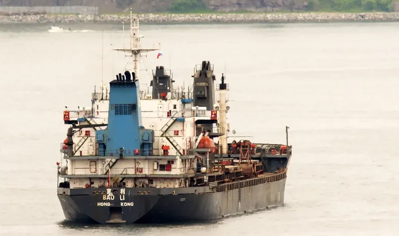 BAO LI Bulk Carrier IMO 9118264