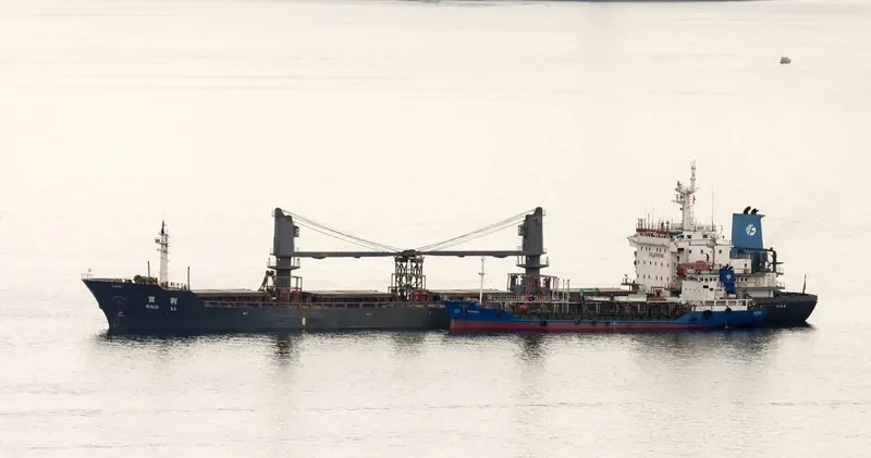 BAO LI Bulk Carrier IMO 9118264 photo 3