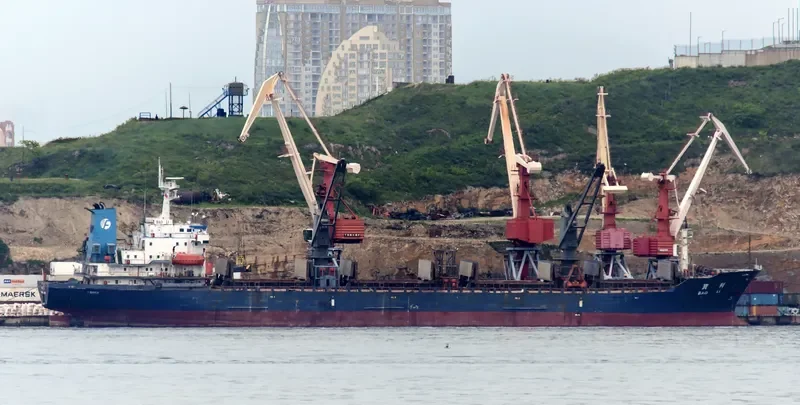 BAO LI Bulk Carrier IMO 9118264 photo 4