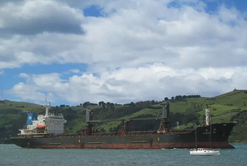 BAO LI Bulk Carrier IMO 9118264 photo 5