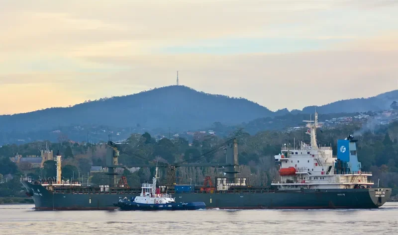 BAO LI Bulk Carrier IMO 9118264 photo 7