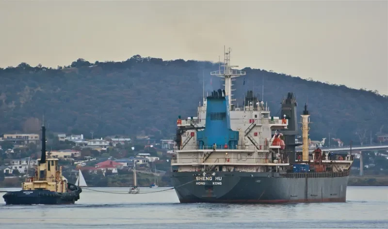 BAO LI Bulk Carrier IMO 9118264 photo 8