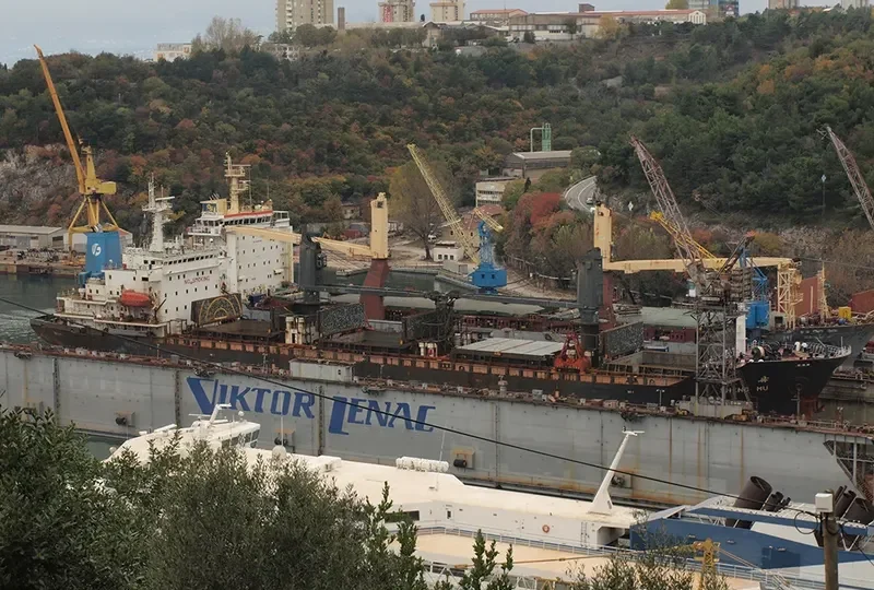 BAO LI Bulk Carrier IMO 9118264 photo 9
