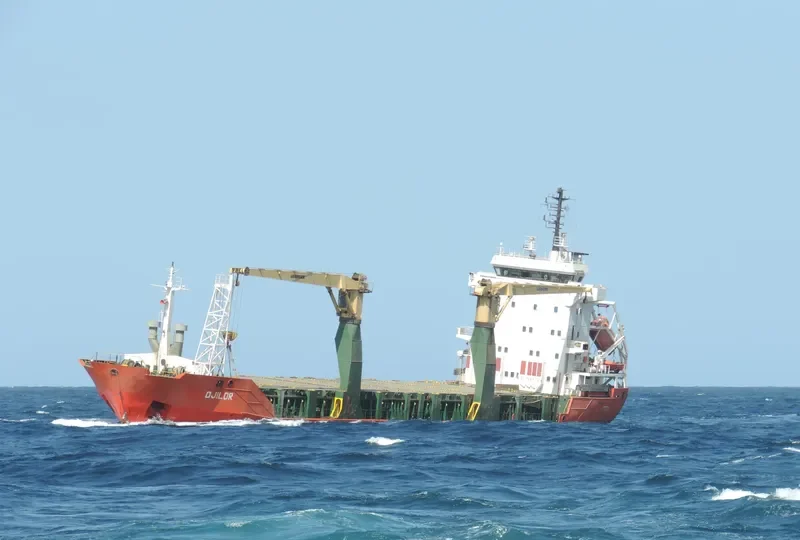 DJILOR General Cargo IMO 9118305