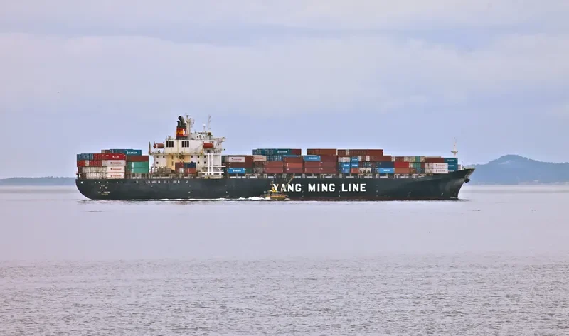 YM ZENITH Container Ship IMO 9118317 photo 4