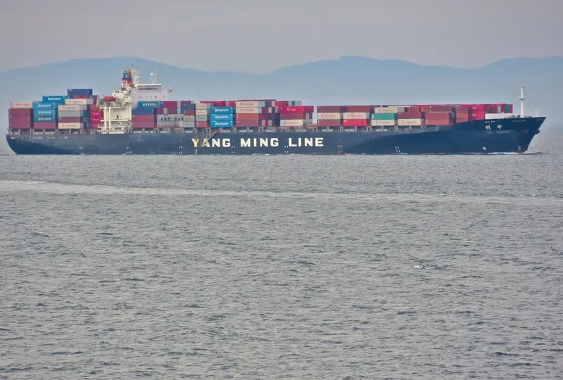 YM ZENITH Container Ship IMO 9118317 photo 5