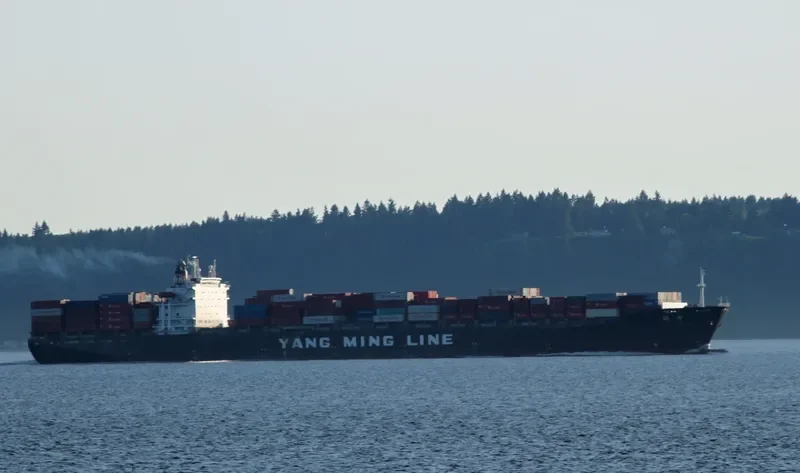YM ZENITH Container Ship IMO 9118317 photo 8