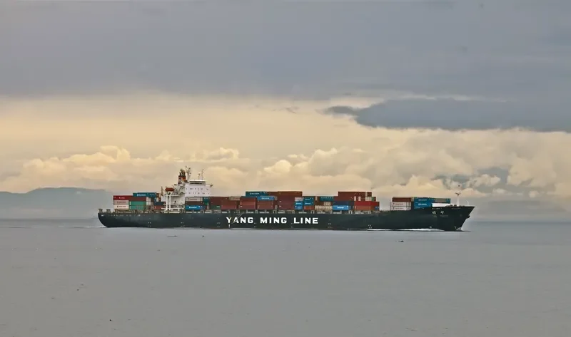 YM ZENITH Container Ship IMO 9118317 photo 9