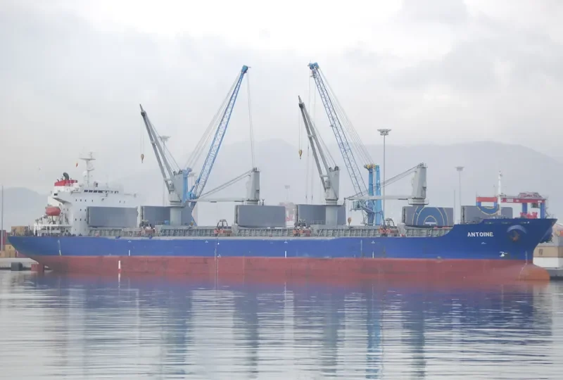 ANTOINE Bulk Carrier IMO 9118329 photo 4