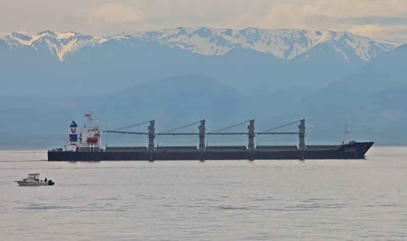 ANTOINE Bulk Carrier IMO 9118329 photo 9