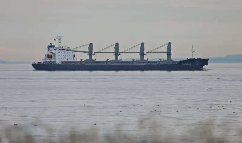 ANTOINE Bulk Carrier IMO 9118329 photo 10