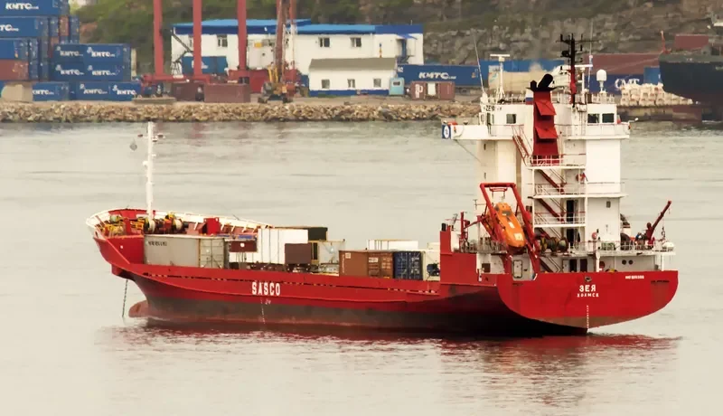 ZEYA Container Ship IMO 9118355 photo 2