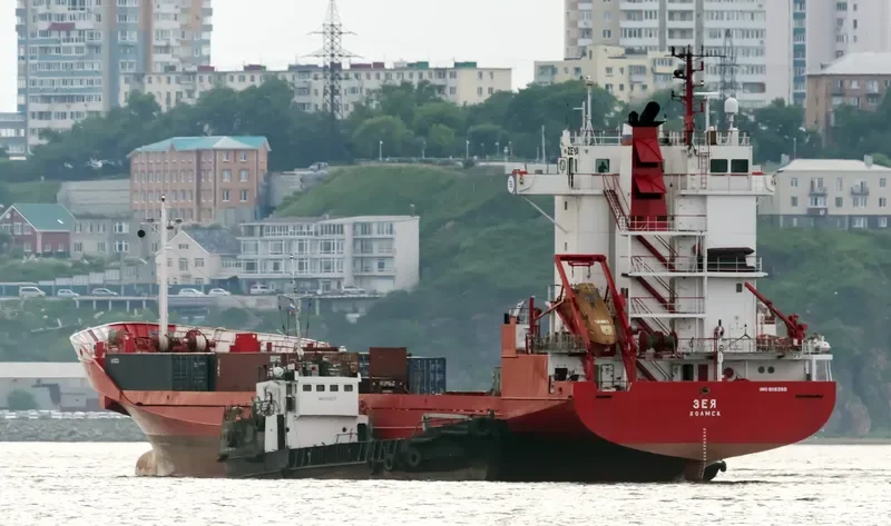 ZEYA Container Ship IMO 9118355 photo 6