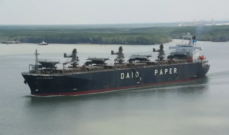 PRIMROSE 6969 Bulk Carrier IMO 9118410 photo 3