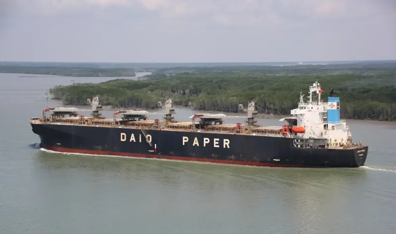 PRIMROSE 6969 Bulk Carrier IMO 9118410 photo 4