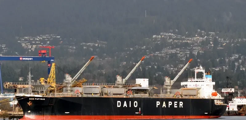 PRIMROSE 6969 Bulk Carrier IMO 9118410 photo 9