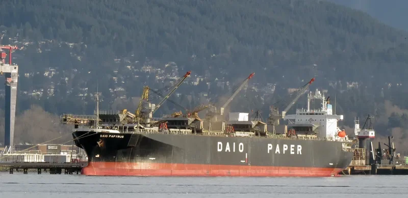 PRIMROSE 6969 Bulk Carrier IMO 9118410 photo 10