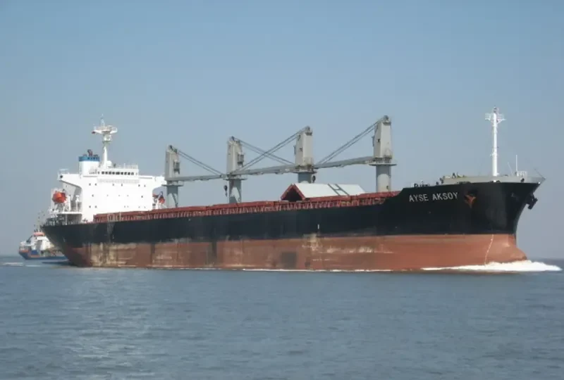 FATEMA JAHAN Bulk Carrier IMO 9118422