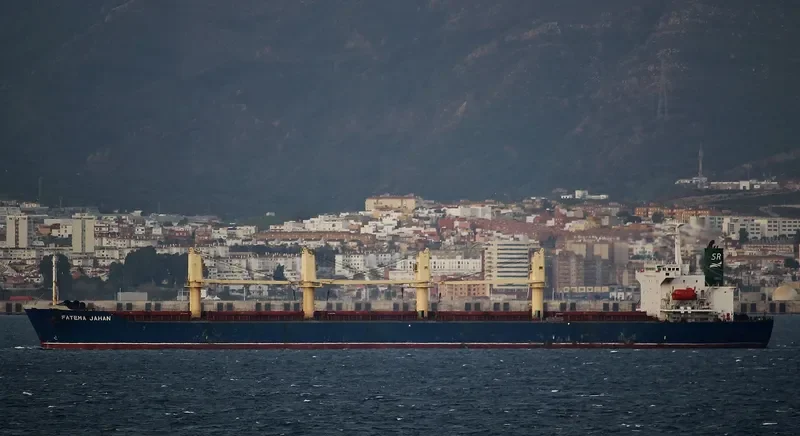 FATEMA JAHAN Bulk Carrier IMO 9118422 photo 5