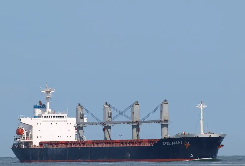 FATEMA JAHAN Bulk Carrier IMO 9118422 photo 7