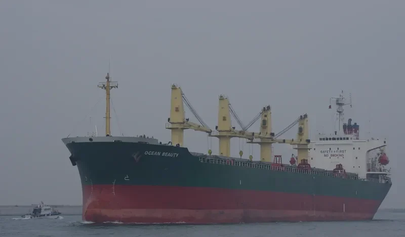WANG JIA Bulk Carrier IMO 9118434 photo 2