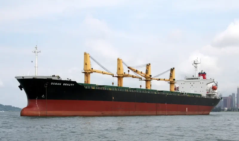 WANG JIA Bulk Carrier IMO 9118434 photo 4